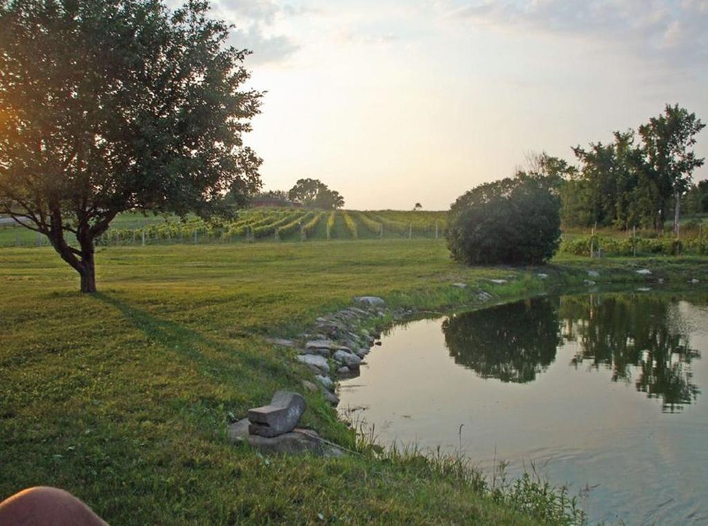 Cote St-Hermas Gite Au Vignoble Mirabel Eksteriør bilde